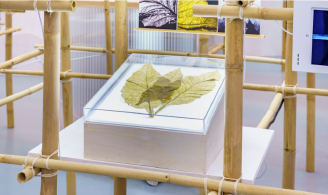 Photographie représentant un zoom sur une installation dans l’exposition, dans une structure en bambou